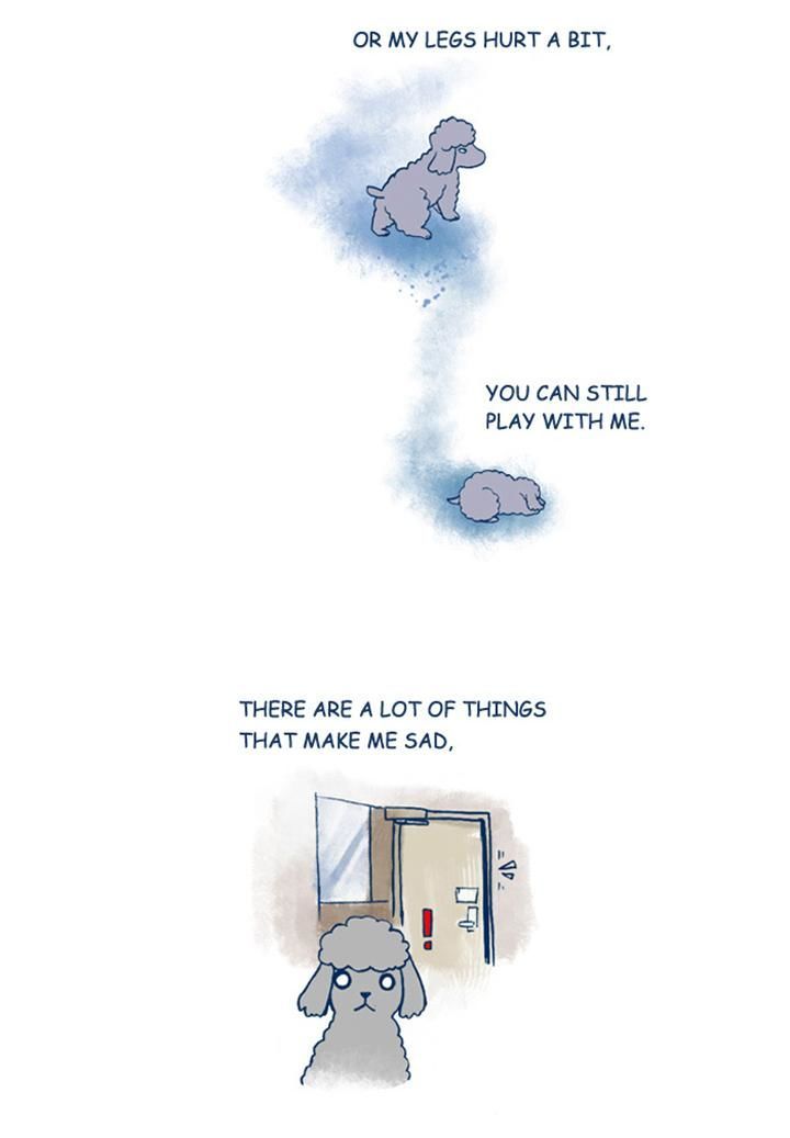 My Young Cat and My Old Dog Chapter 150 page 6 - Chapter 150 : Sad