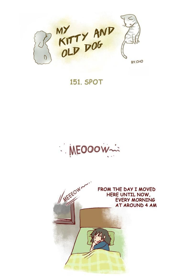 My Young Cat and My Old Dog Chapter 151 page 1 - Chapter 151 : Spot