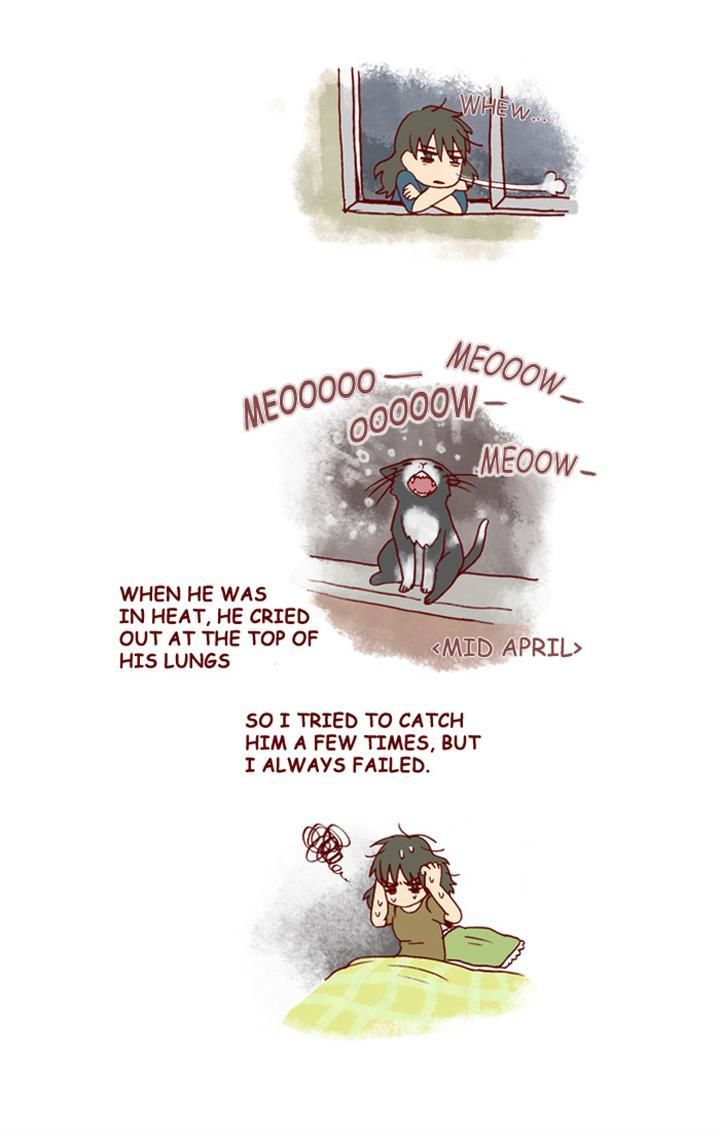 My Young Cat and My Old Dog Chapter 151 page 3 - Chapter 151 : Spot