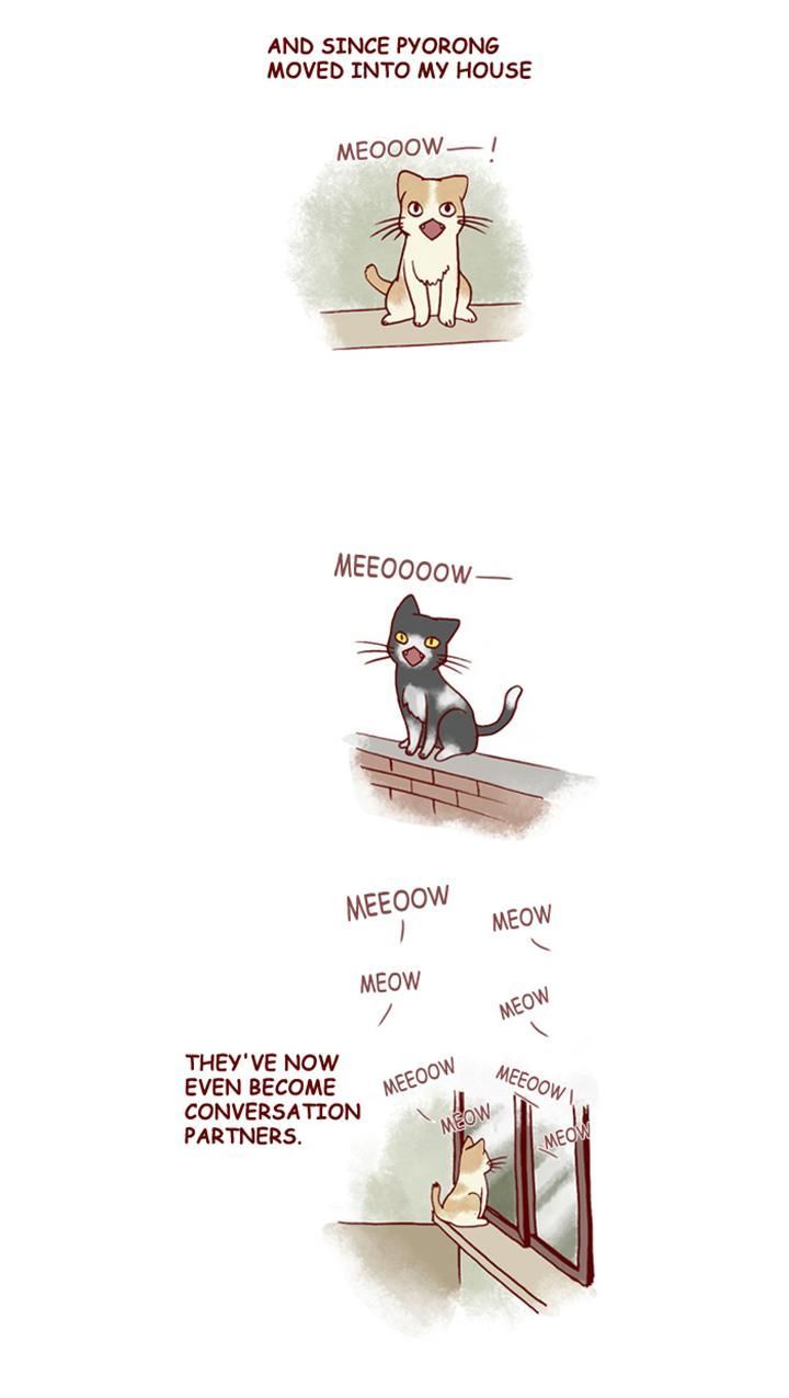 My Young Cat and My Old Dog Chapter 151 page 4 - Chapter 151 : Spot
