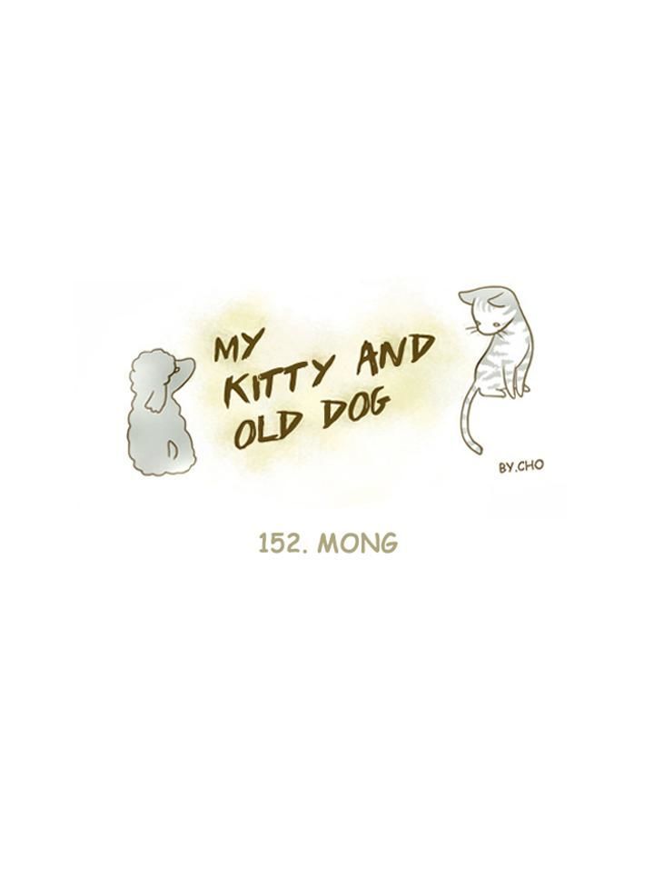 My Young Cat and My Old Dog Chapter 152 page 1 - Chapter 152 : Mong