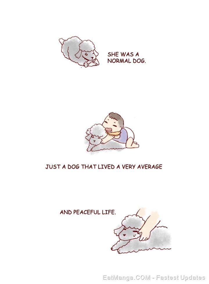 My Young Cat and My Old Dog Chapter 152 page 11 - Chapter 152 : Mong