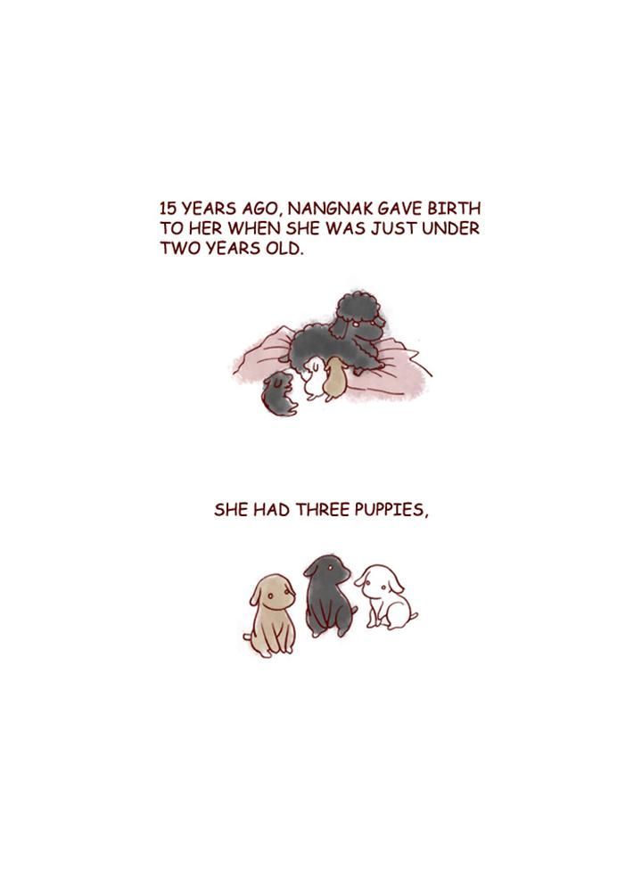 My Young Cat and My Old Dog Chapter 152 page 3 - Chapter 152 : Mong