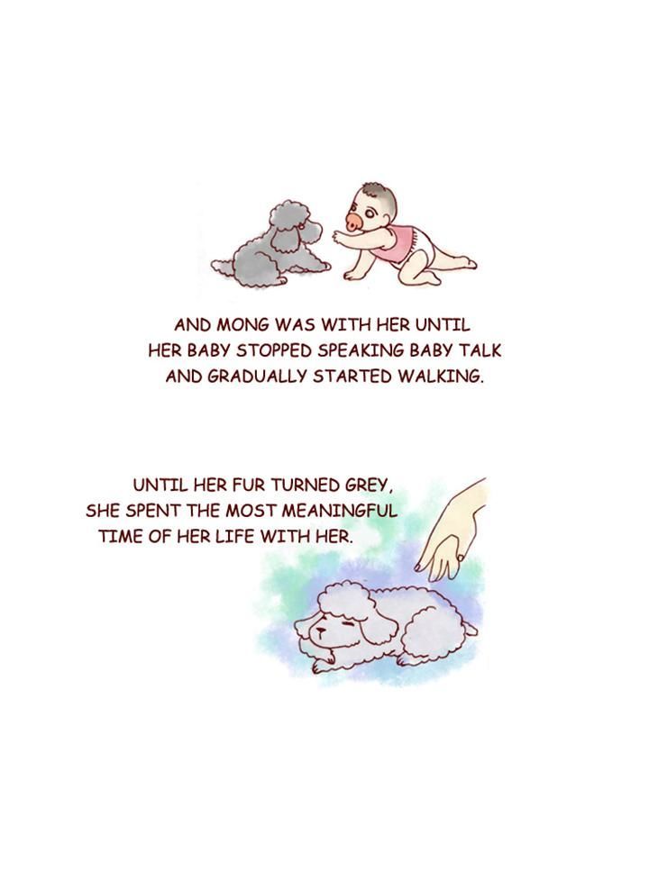 My Young Cat and My Old Dog Chapter 152 page 6 - Chapter 152 : Mong