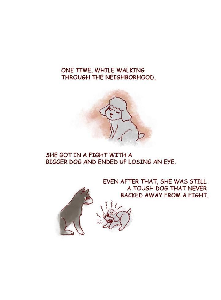My Young Cat and My Old Dog Chapter 152 page 9 - Chapter 152 : Mong