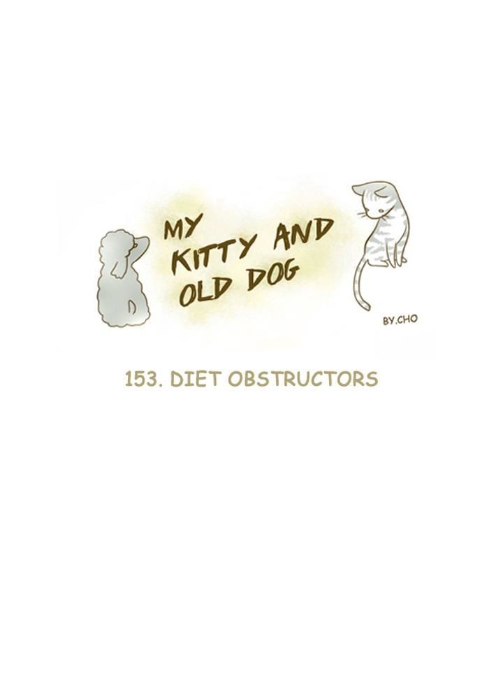 My Young Cat and My Old Dog Chapter 153 page 1 - Chapter 153 : Diet Obetructors