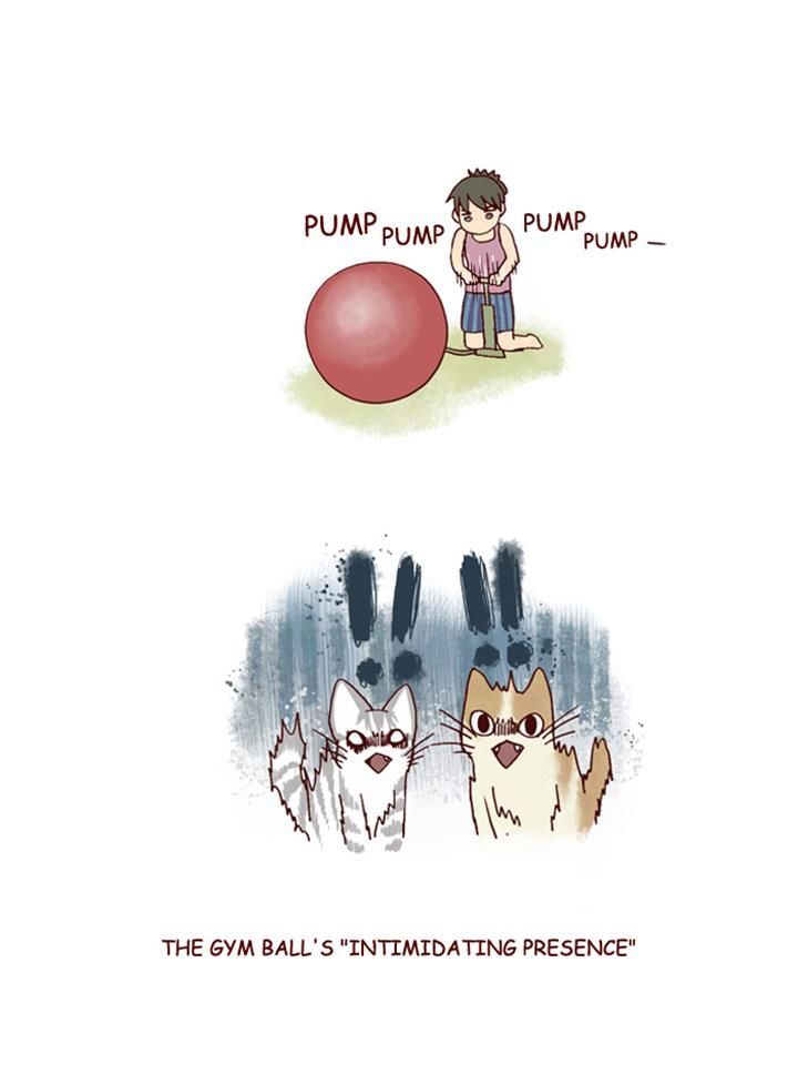 My Young Cat and My Old Dog Chapter 153 page 5 - Chapter 153 : Diet Obetructors