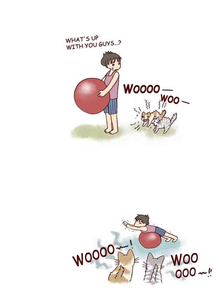 My Young Cat and My Old Dog Chapter 153 page 6 - Chapter 153 : Diet Obetructors