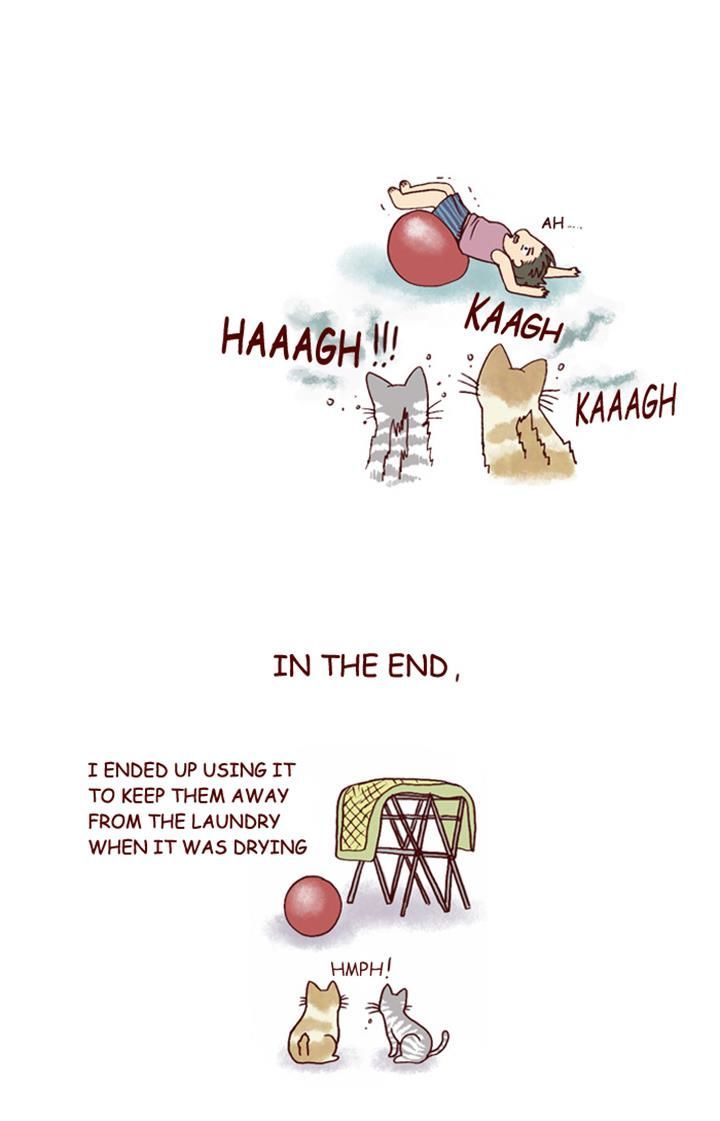 My Young Cat and My Old Dog Chapter 153 page 7 - Chapter 153 : Diet Obetructors