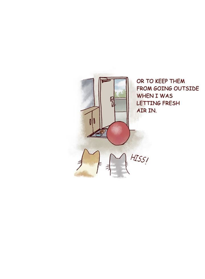 My Young Cat and My Old Dog Chapter 153 page 8 - Chapter 153 : Diet Obetructors