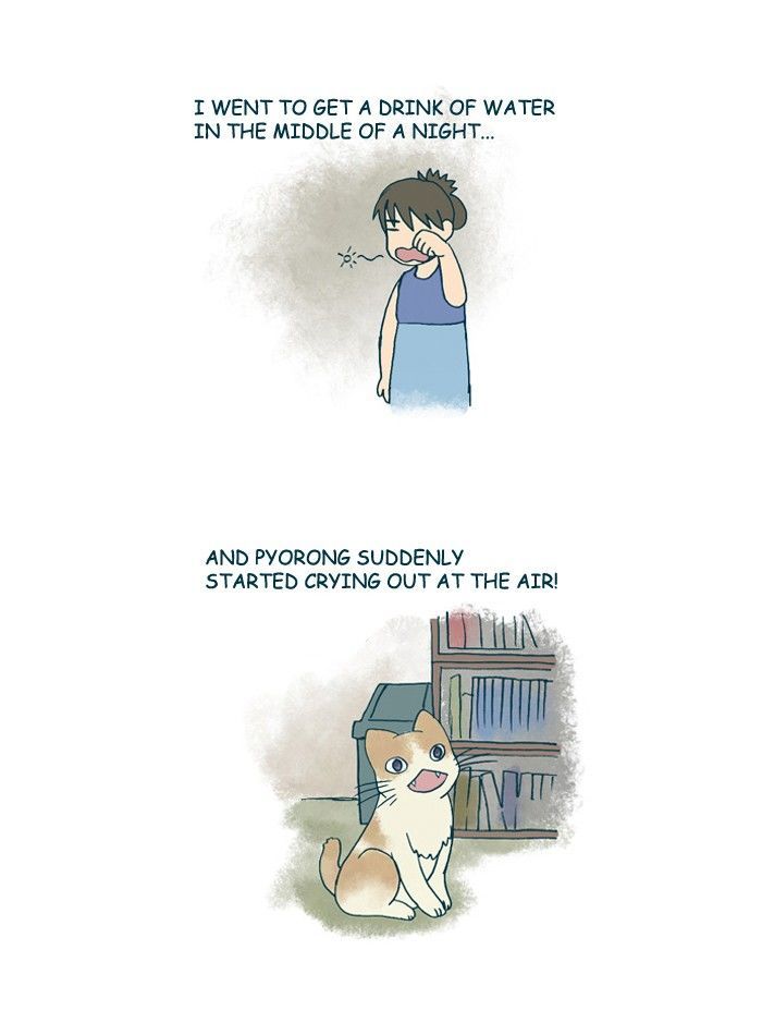 My Young Cat and My Old Dog Chapter 154 page 2 - Chapter 154 : Summer Ghost Story