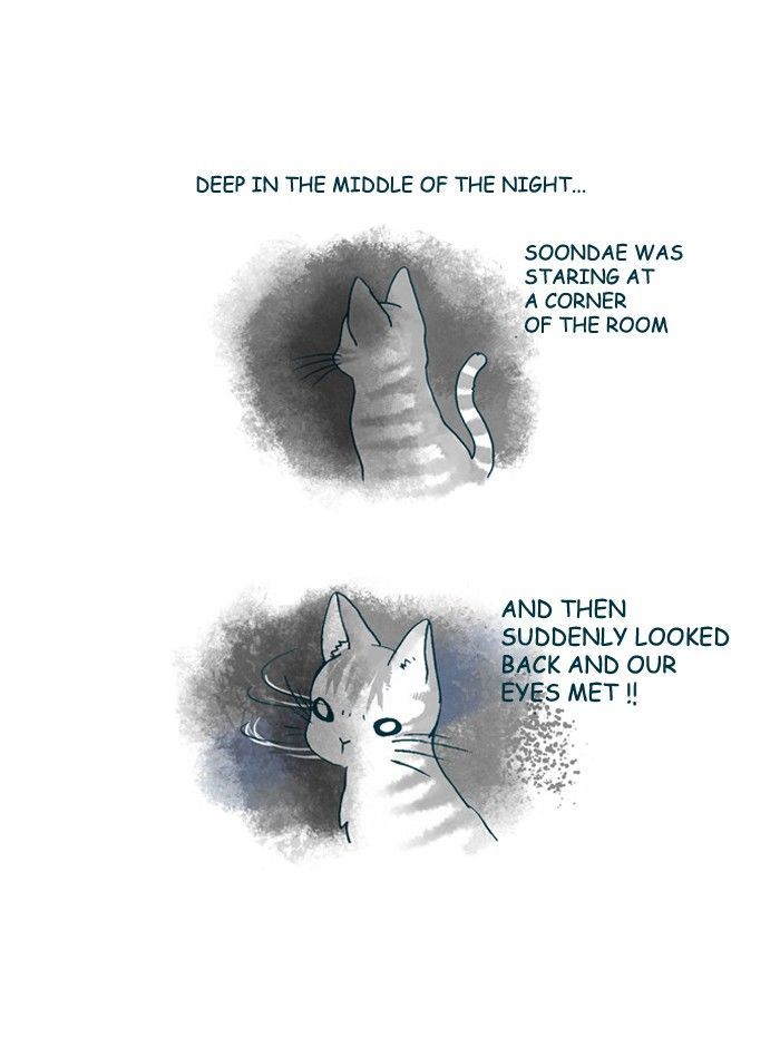 My Young Cat and My Old Dog Chapter 154 page 4 - Chapter 154 : Summer Ghost Story