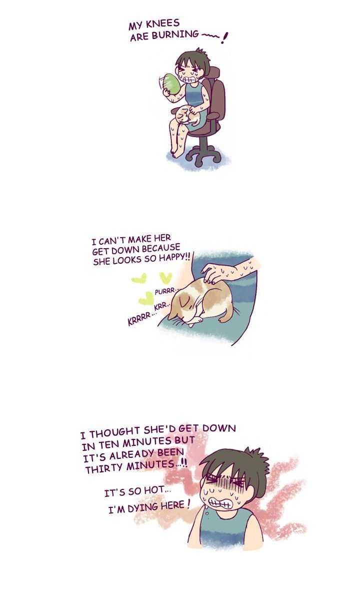 My Young Cat and My Old Dog Chapter 155 page 2 - Chapter 155