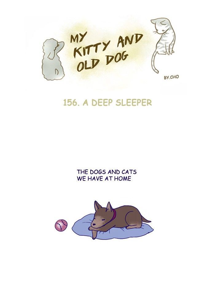 My Young Cat and My Old Dog Chapter 156 page 1 - Chapter 156