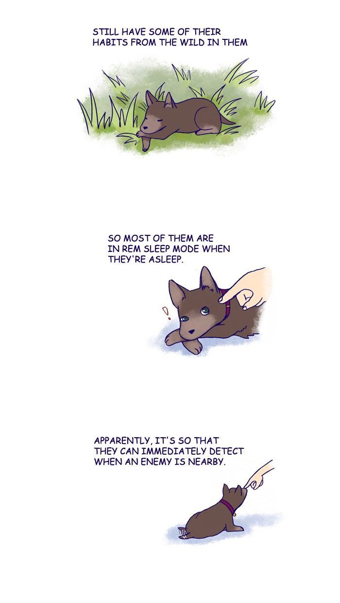 My Young Cat and My Old Dog Chapter 156 page 2 - Chapter 156