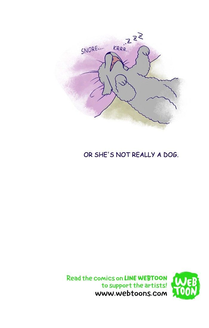 My Young Cat and My Old Dog Chapter 156 page 5 - Chapter 156