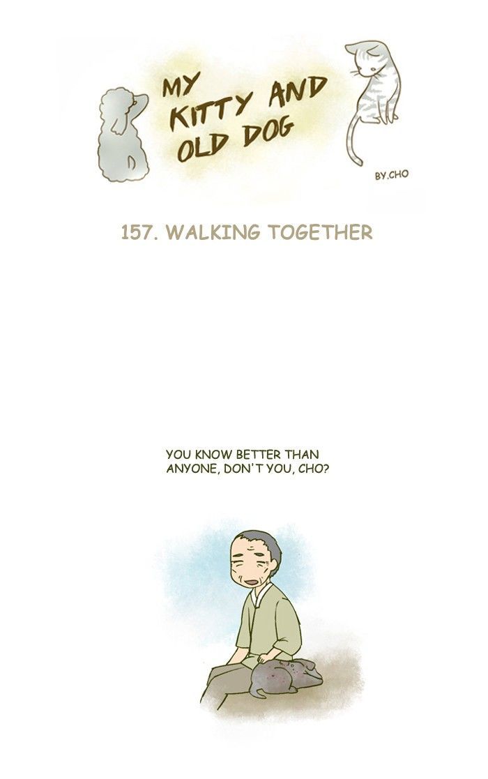 My Young Cat and My Old Dog Chapter 157 page 1 - Chapter 157