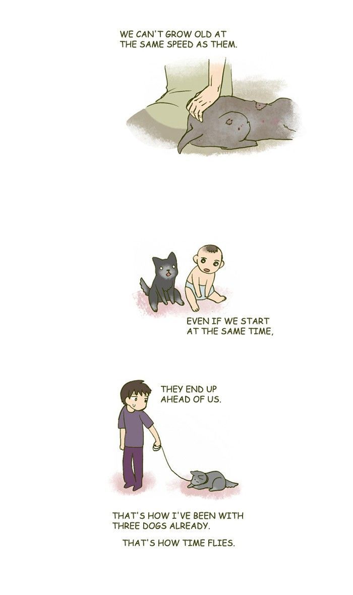 My Young Cat and My Old Dog Chapter 157 page 2 - Chapter 157