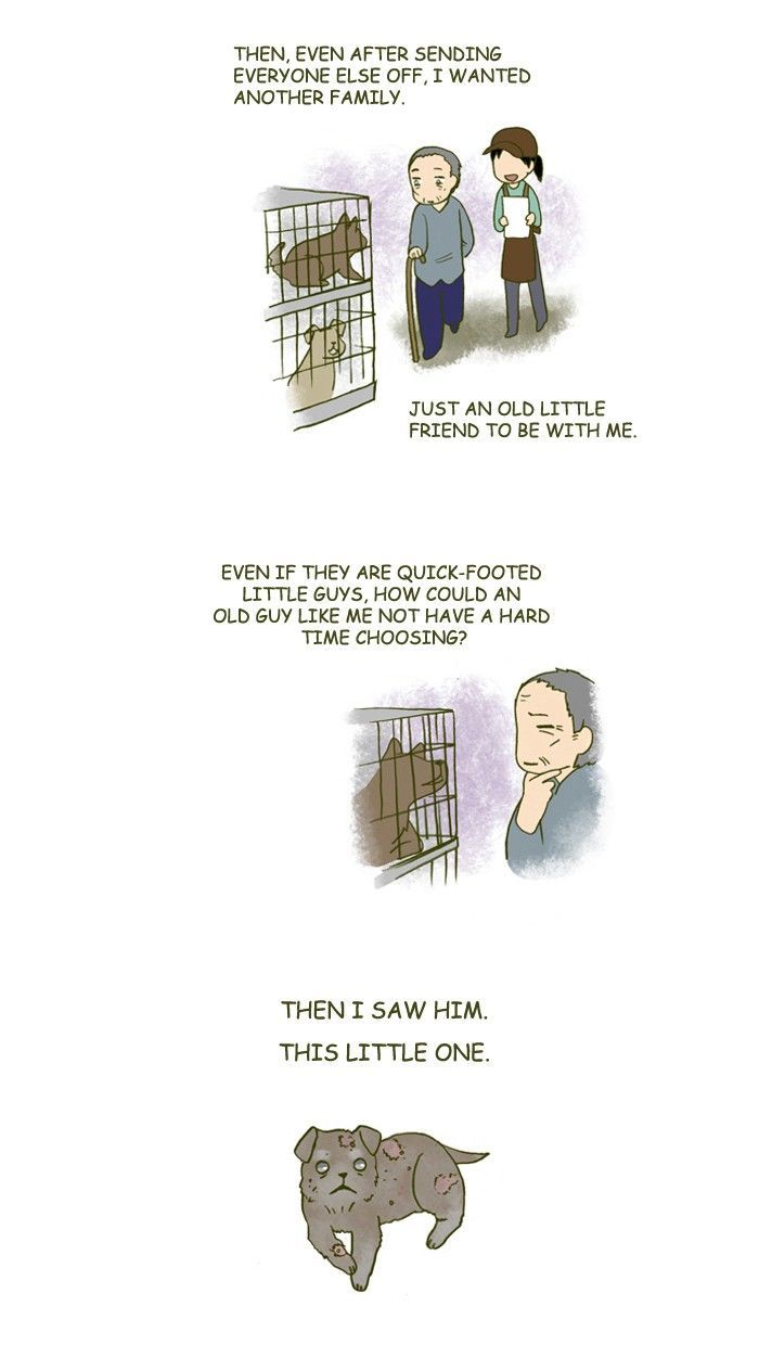 My Young Cat and My Old Dog Chapter 157 page 4 - Chapter 157