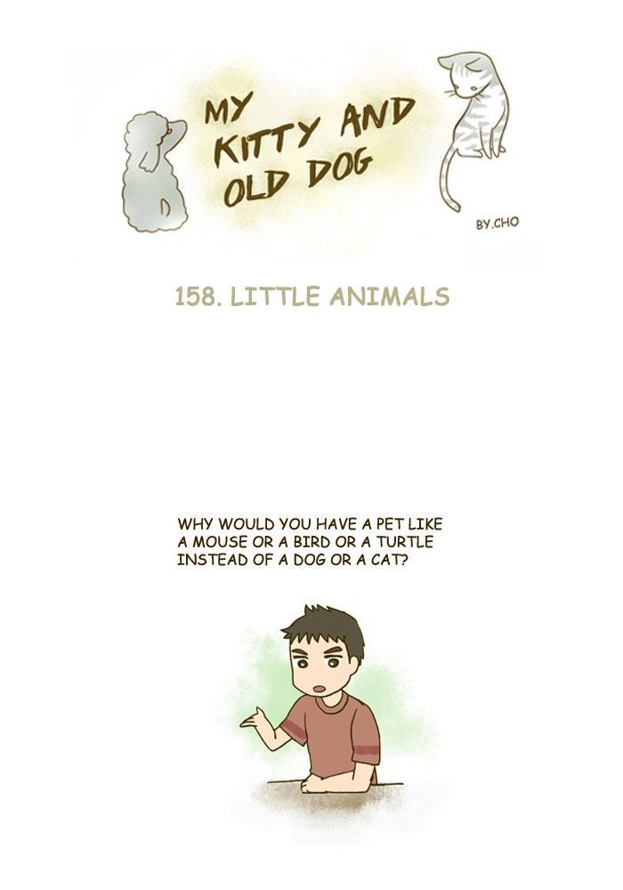 My Young Cat and My Old Dog Chapter 158 page 1 - Chapter 158
