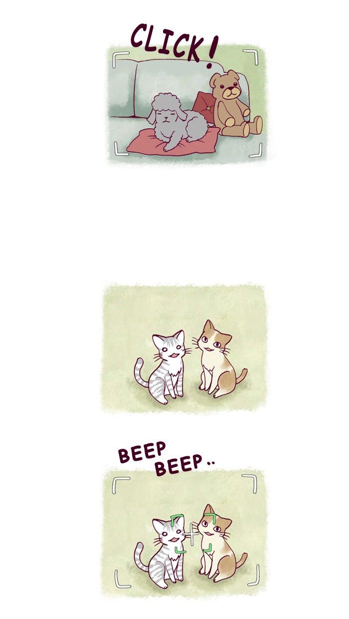 My Young Cat and My Old Dog Chapter 160 page 2 - Chapter 160