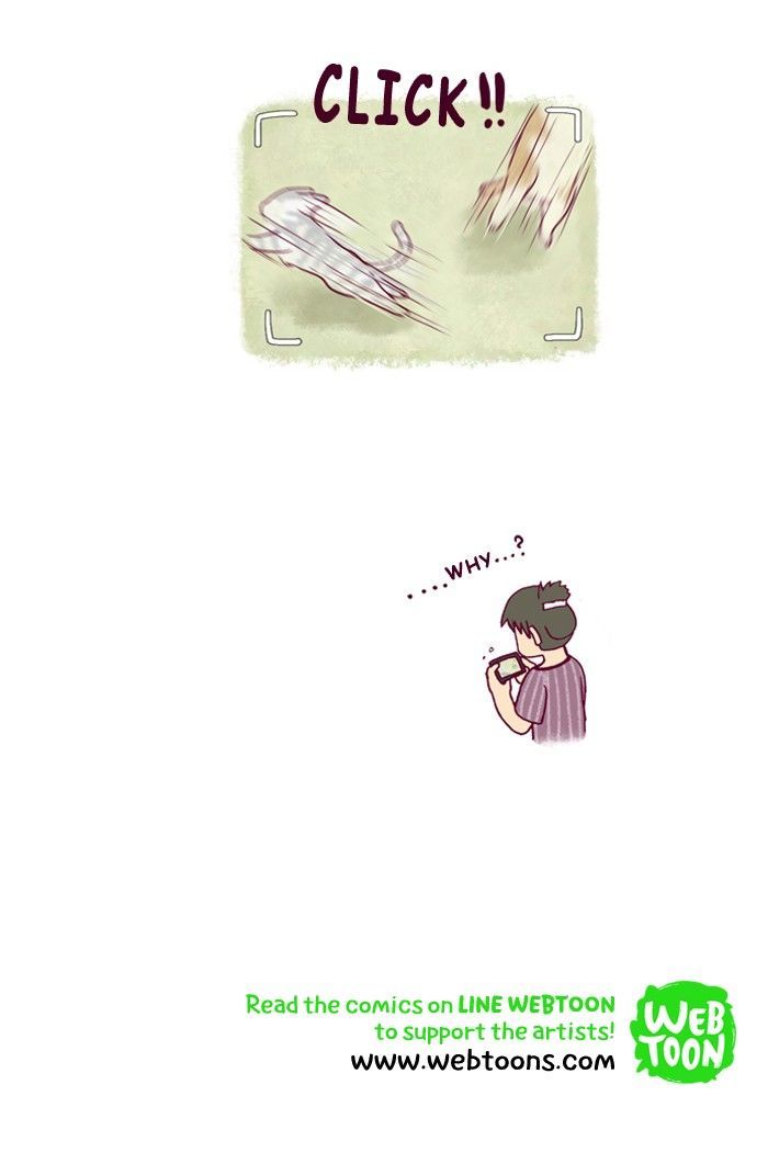My Young Cat and My Old Dog Chapter 160 page 3 - Chapter 160