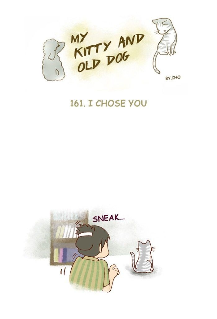 My Young Cat and My Old Dog Chapter 161 page 1 - Chapter 161