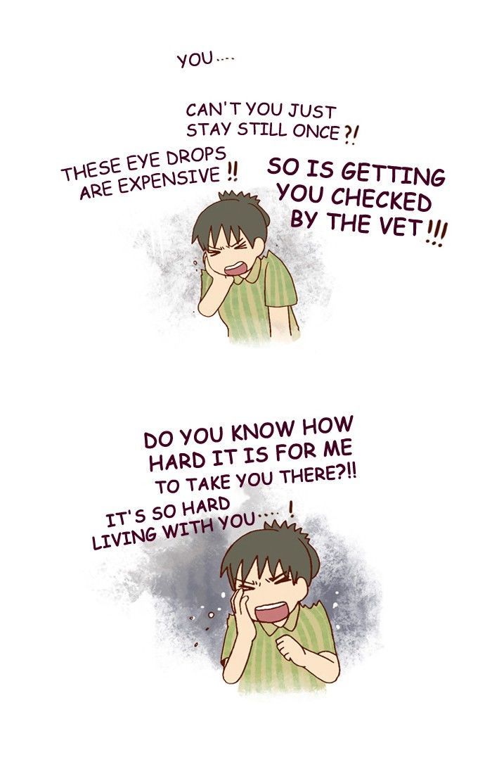 My Young Cat and My Old Dog Chapter 161 page 4 - Chapter 161