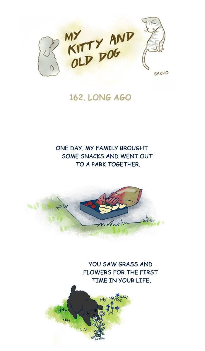 My Young Cat and My Old Dog Chapter 162 page 1 - Chapter 162
