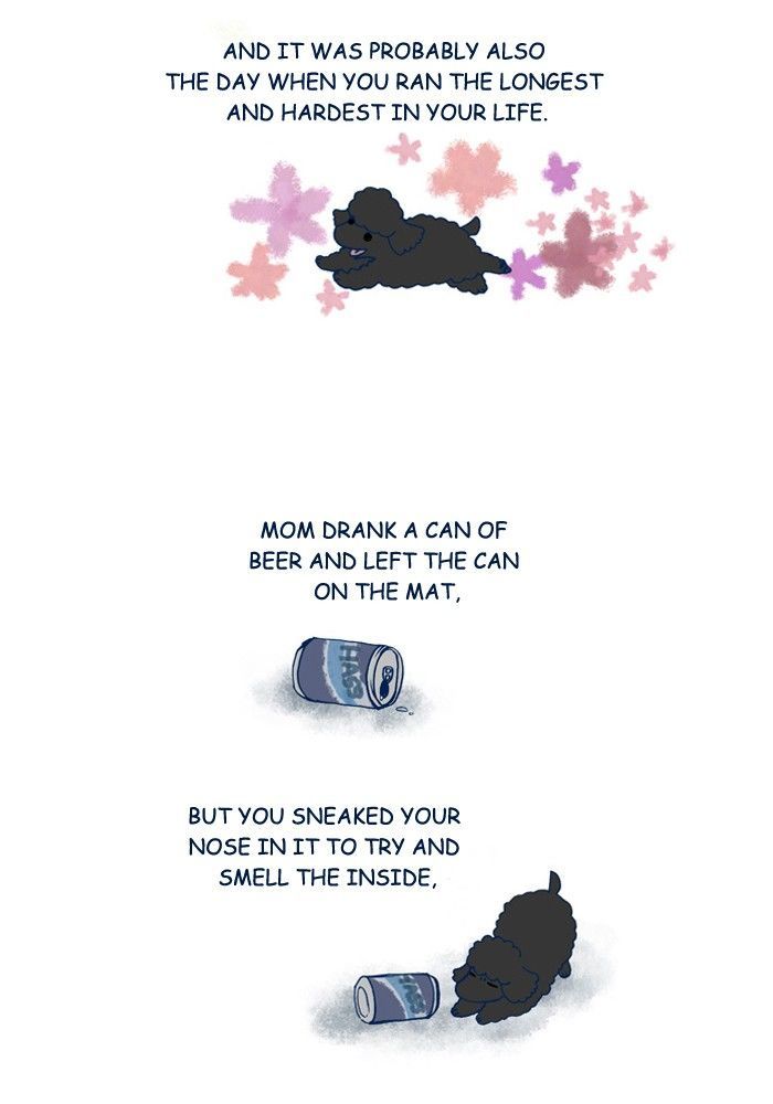 My Young Cat and My Old Dog Chapter 162 page 2 - Chapter 162