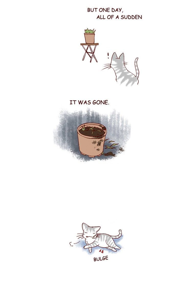 My Young Cat and My Old Dog Chapter 163 page 2 - Chapter 163