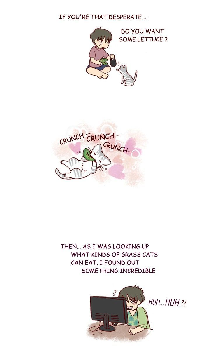 My Young Cat and My Old Dog Chapter 163 page 5 - Chapter 163