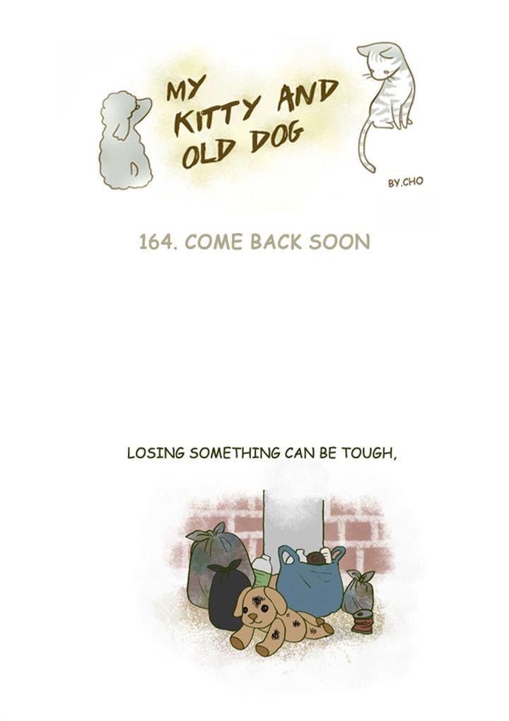 My Young Cat and My Old Dog Chapter 164 page 1 - Chapter 164