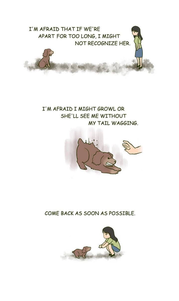 My Young Cat and My Old Dog Chapter 164 page 5 - Chapter 164