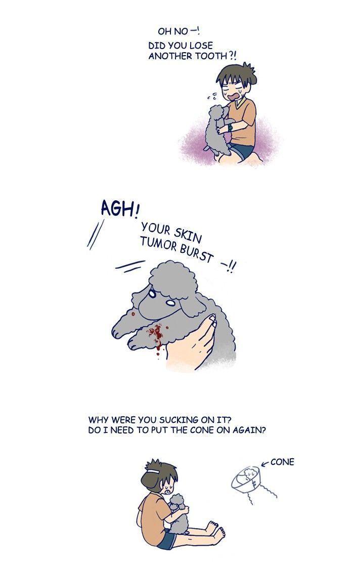 My Young Cat and My Old Dog Chapter 165 page 3 - Chapter 165
