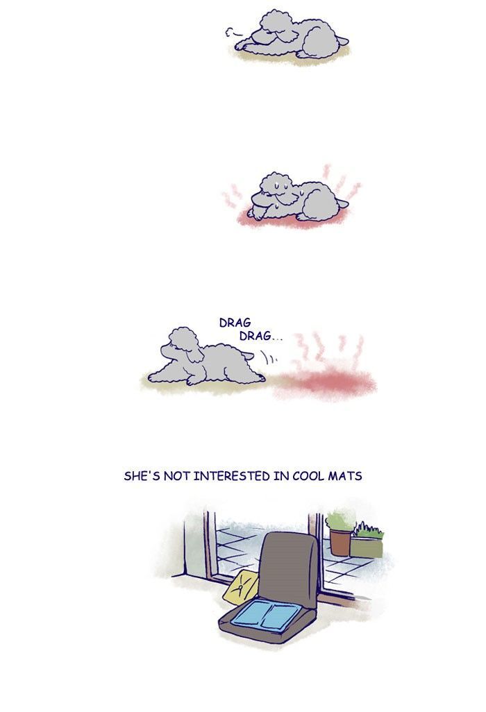 My Young Cat and My Old Dog Chapter 167 page 2 - Chapter 167