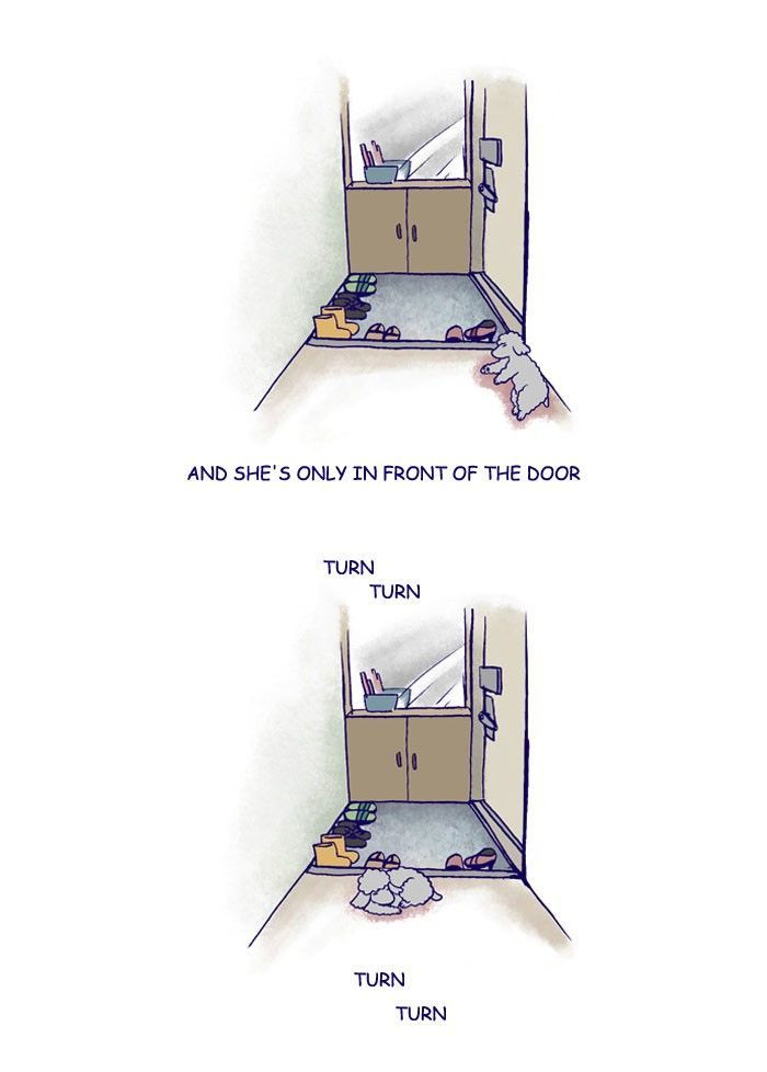 My Young Cat and My Old Dog Chapter 167 page 3 - Chapter 167