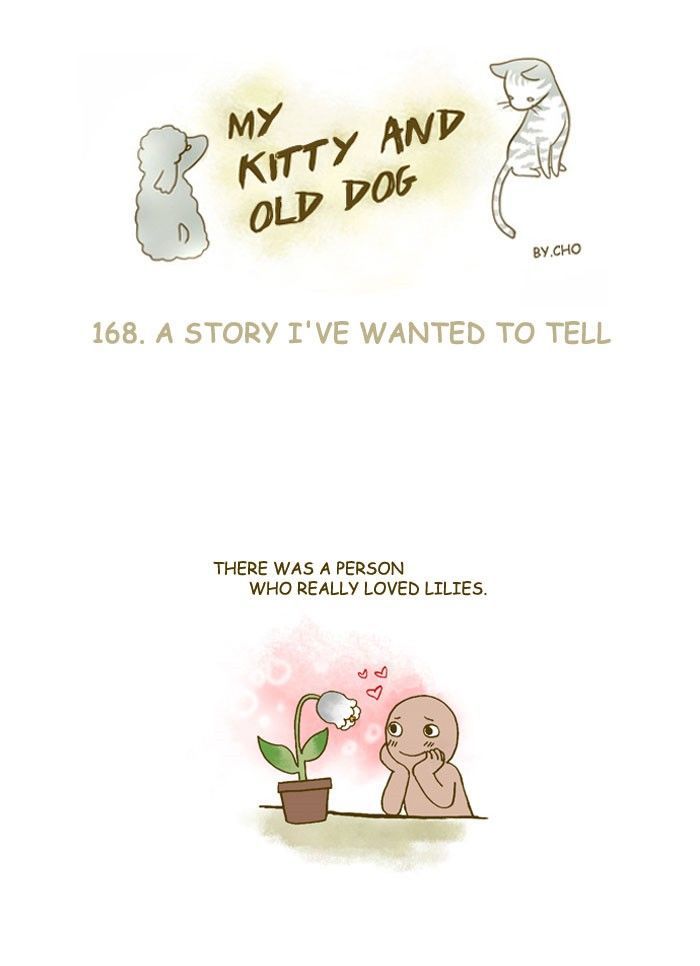 My Young Cat and My Old Dog Chapter 168 page 1 - Chapter 168