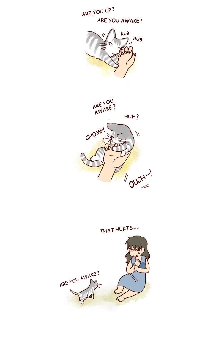 My Young Cat and My Old Dog Chapter 169 page 2 - Chapter 169
