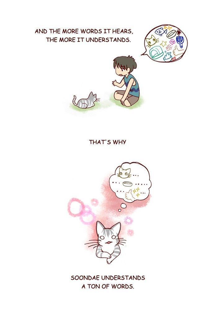 My Young Cat and My Old Dog Chapter 172 page 2 - Chapter 172