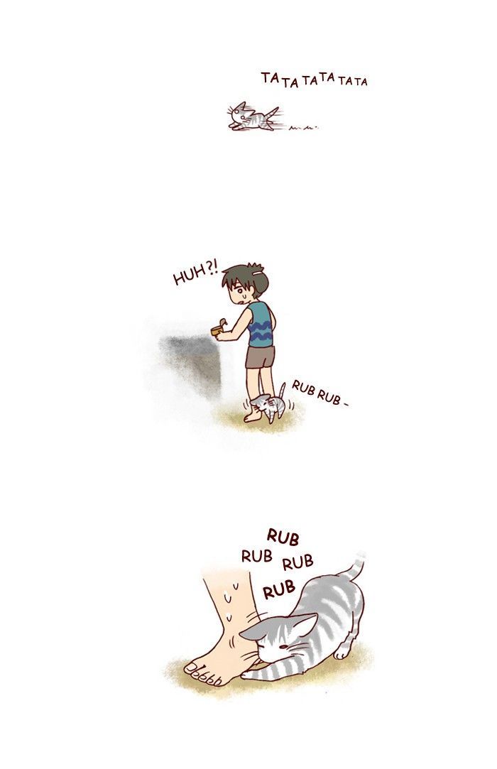 My Young Cat and My Old Dog Chapter 172 page 4 - Chapter 172