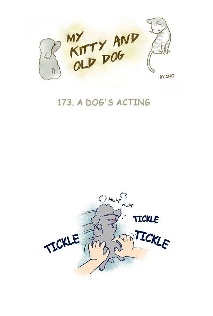 My Young Cat and My Old Dog Chapter 173 page 1 - Chapter 173