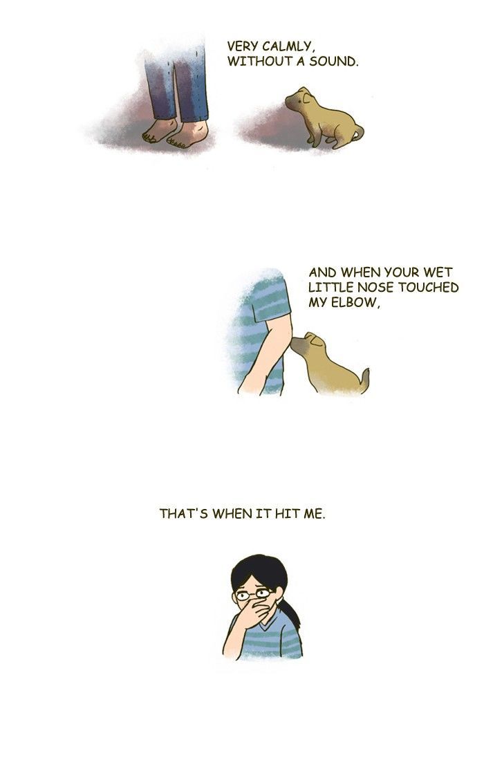 My Young Cat and My Old Dog Chapter 174 page 6 - Chapter 174