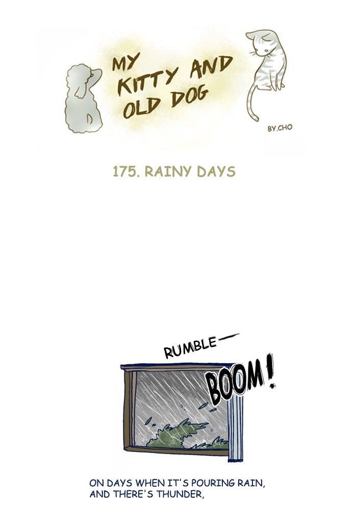 My Young Cat and My Old Dog Chapter 175 page 1 - Chapter 175