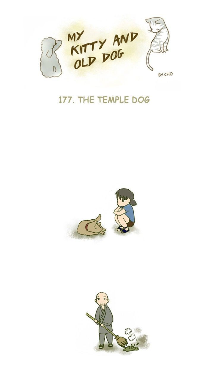 My Young Cat and My Old Dog Chapter 177 page 1 - Chapter 177