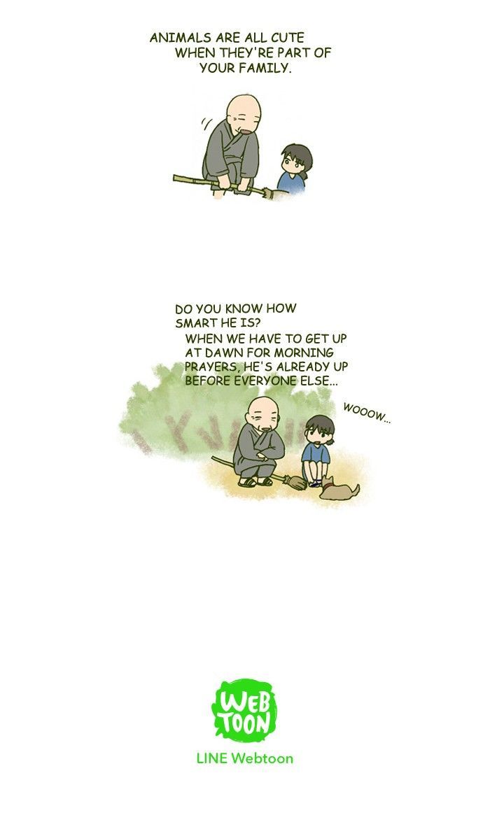 My Young Cat and My Old Dog Chapter 177 page 7 - Chapter 177