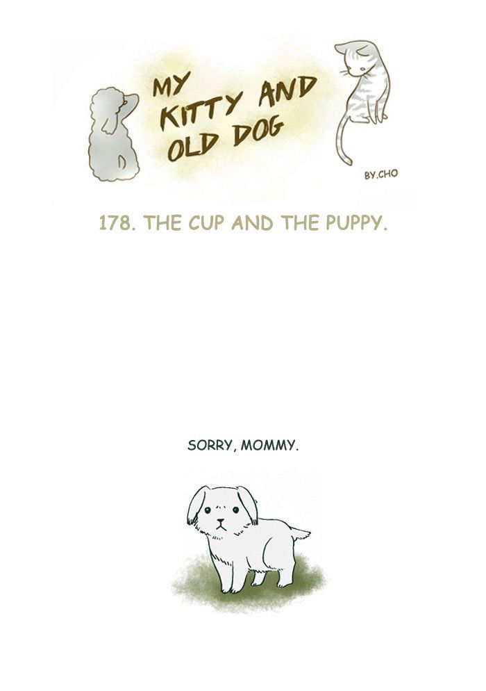 My Young Cat and My Old Dog Chapter 178 page 1 - Chapter 178