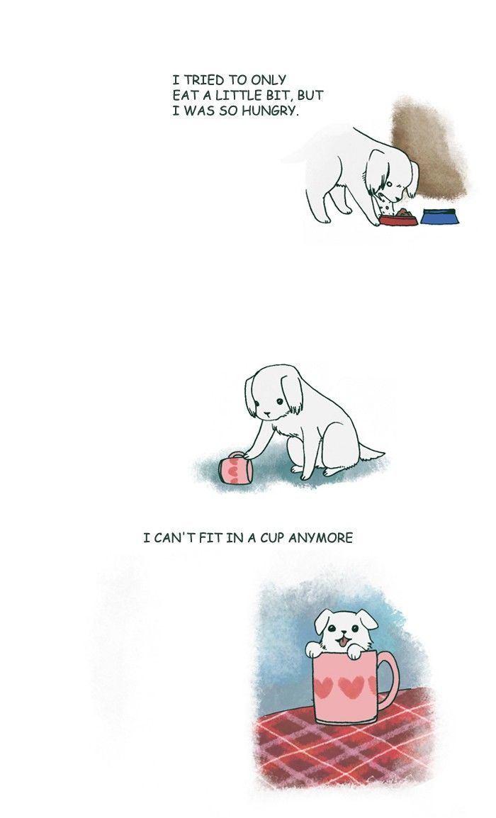 My Young Cat and My Old Dog Chapter 178 page 3 - Chapter 178
