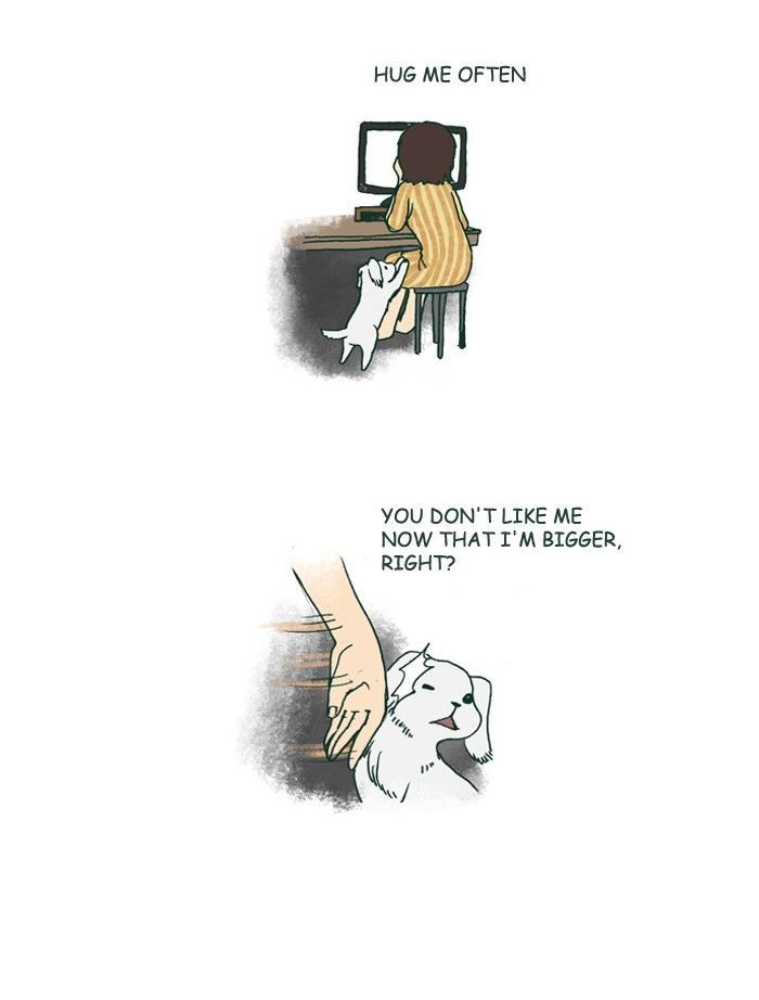 My Young Cat and My Old Dog Chapter 178 page 5 - Chapter 178