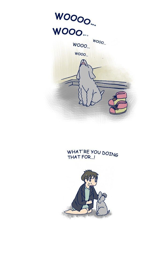 My Young Cat and My Old Dog Chapter 179 page 4 - Chapter 179